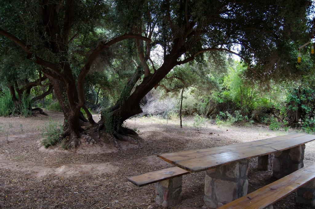 El Zorro Gris Villa Tinogasta Esterno foto