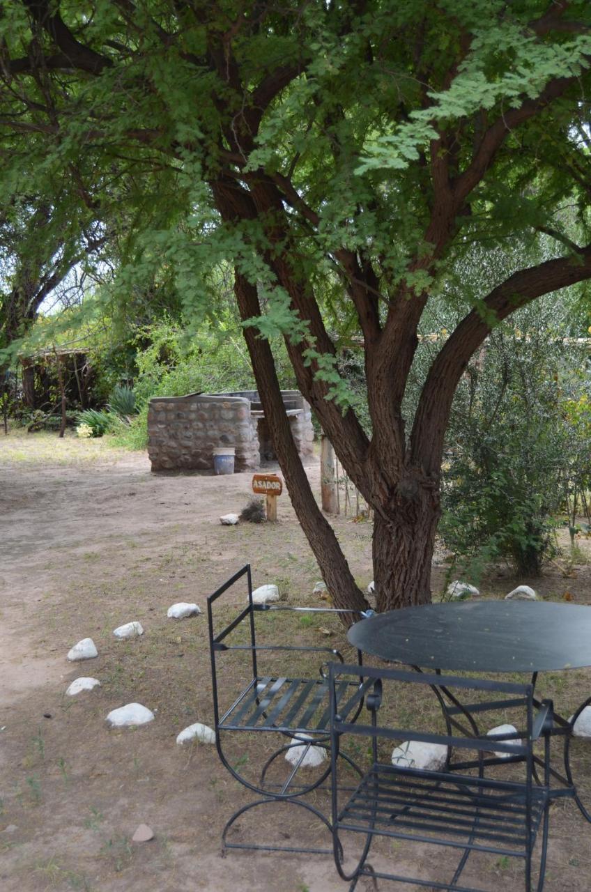 El Zorro Gris Villa Tinogasta Esterno foto