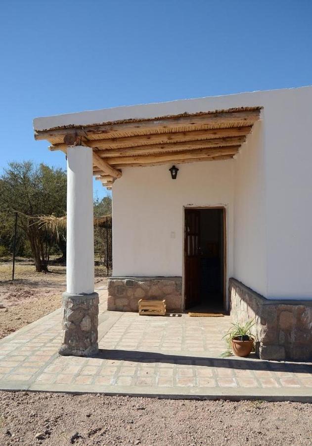 El Zorro Gris Villa Tinogasta Camera foto
